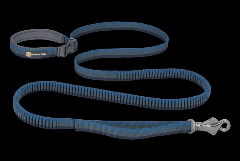 Roamer Leash