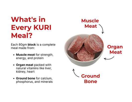 KURI Raw Starter Pack