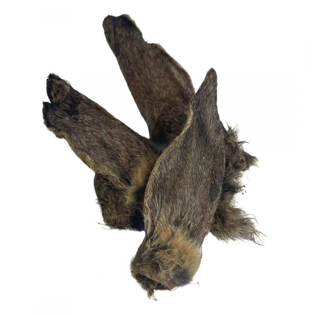 Rabbit Ears/ Feet
