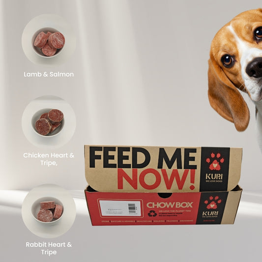 KURI Raw Starter Pack