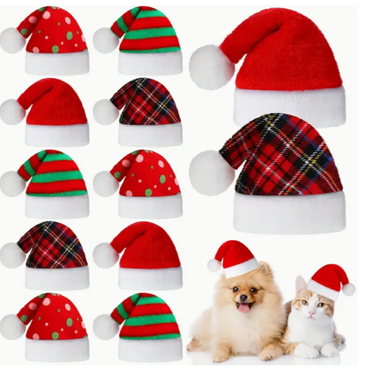 Mini Santa Hat