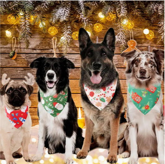 Festive Bandana