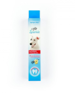 Toothpaste - Ginger and Vanilla