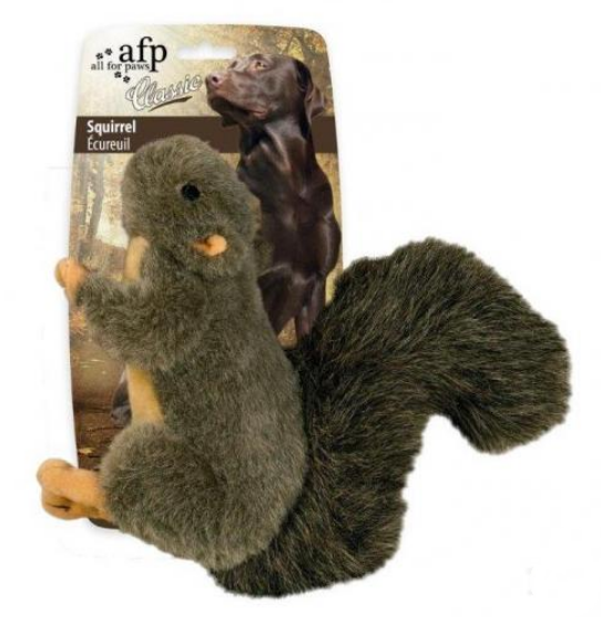 Classic Squirrel